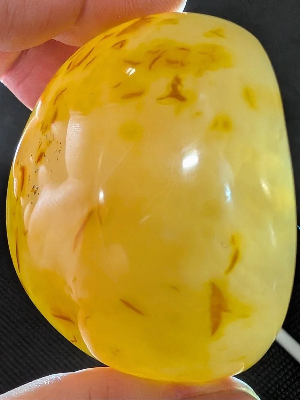 Brazilian Agate Geode Half